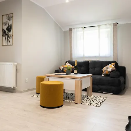 Lesna Przystan Apartment Muszyna Exterior photo