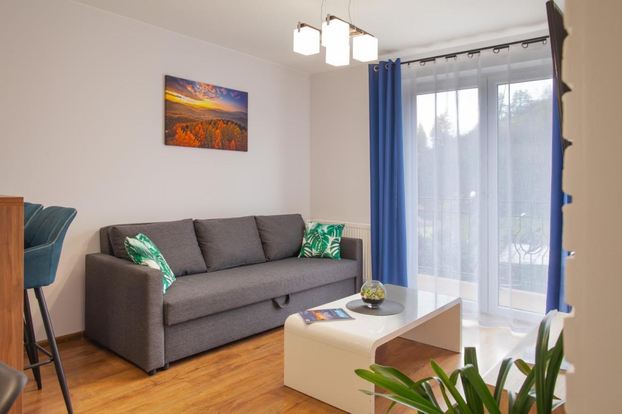 Apartment Lesna Przystan Muszyna