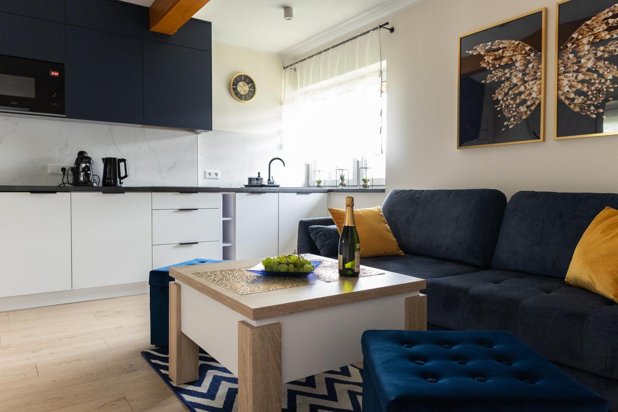 Lesna Przystan Apartment *